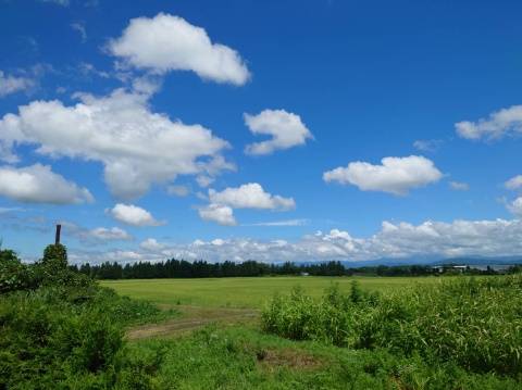 東北に行ってきました。