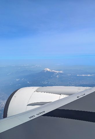 翼の先に見える富士山
