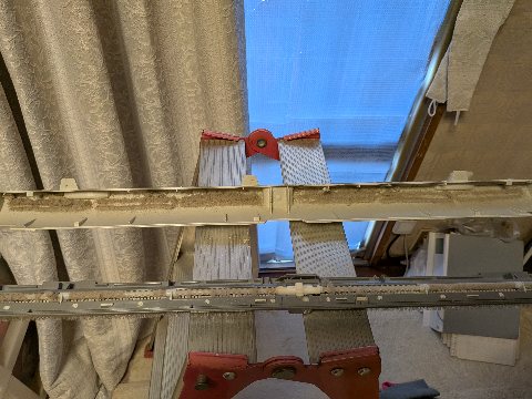 PXL_20250809_043010665.jpg