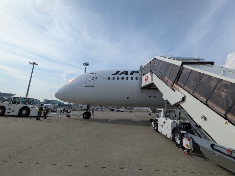 PXL_20250818_062522843.jpg PXL_20250818_062522843.jpg