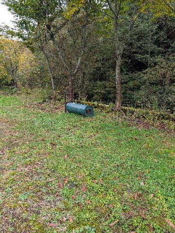 PXL_20251022_015043937.jpg PXL_20251022_015043937.jpg