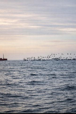 edited_40abd223-6253-4f45-ae6c-9e32088be126677859503270067411.jpg edited_40abd223-6253-4f45-ae6c-9e32088be126677859503270067411.jpg