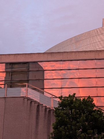 PXL_20251102_075520416.jpg PXL_20251102_075520416.jpg