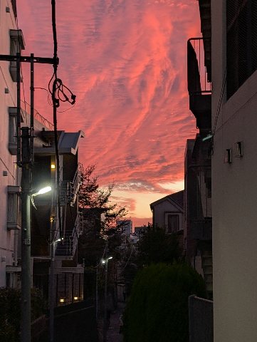 PXL_20251102_075605673.jpg PXL_20251102_075605673.jpg