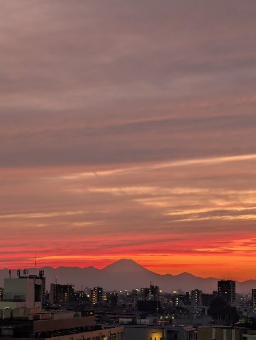 PXL_20251029_081043490.jpg PXL_20251029_081043490.jpg