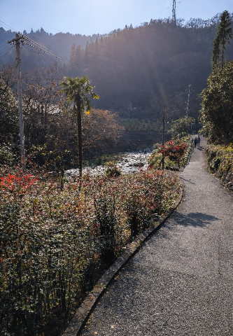 Screenshot_20251231-150318~2.png Screenshot_20251231-150318~2.png