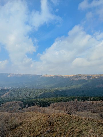 新年のご挨拶 2026