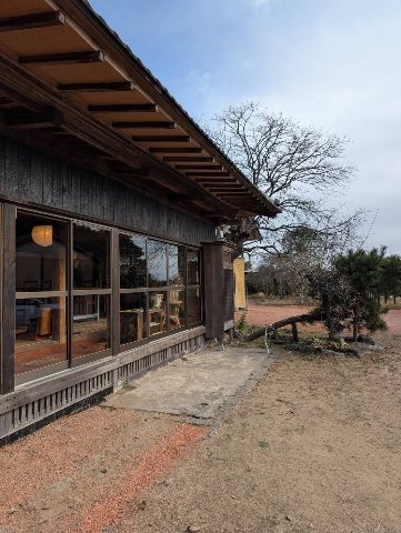 大網白里市で調査