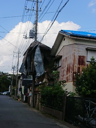 台風被害