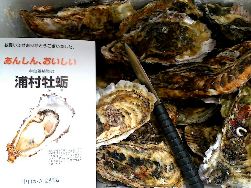 エネルギーをいただきました。