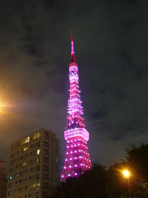 今日は何の日
