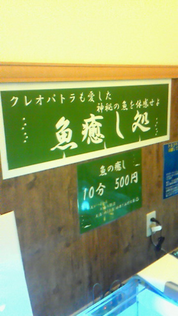 ファイル 91-1.jpg